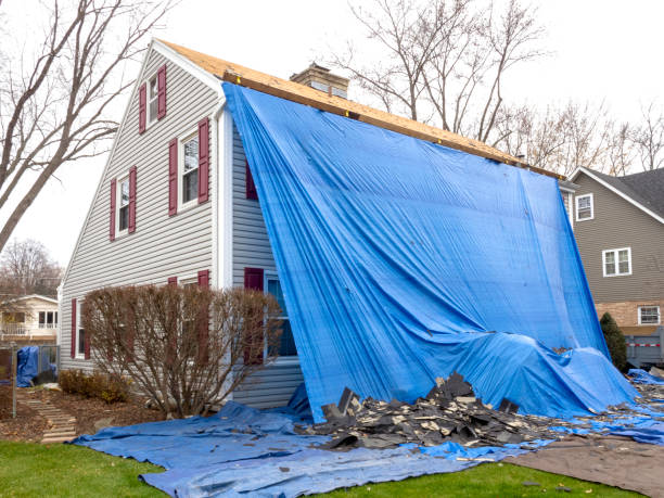 Best Shed Removal  in Hughes Springs, TX